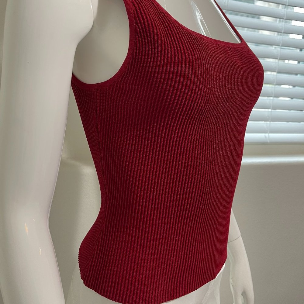 NEW BABATON Aritzia Tank Top